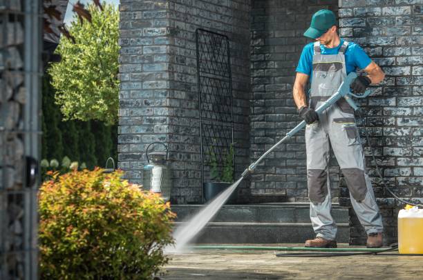 Best Animal Enclosure Cleaning  in Ridgeway, VA