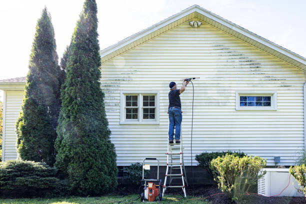 Best Sidewalk and Walkway Cleaning  in Ridgeway, VA